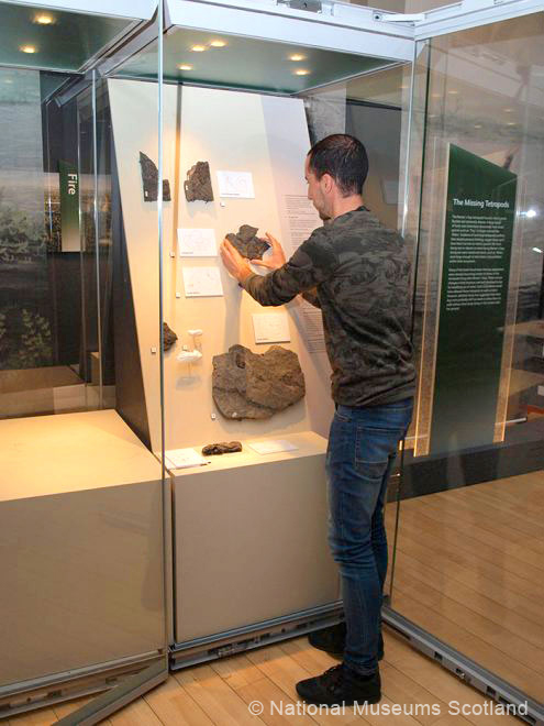 ruben-contreras-fossil-hunt-nms