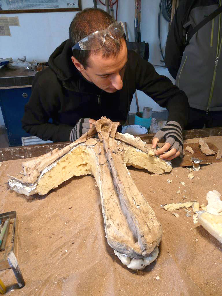 ruben-contreras-paleontologo