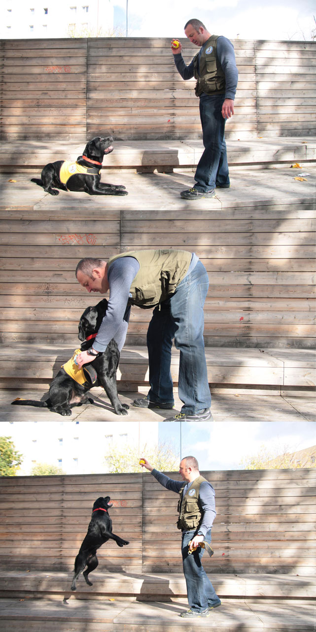 Obra-Social-Ischadia-Entrenamiento-de-perros-de-asistencia-y-terapia-para-personas-con-discapacidad-y-diversidad-funcional